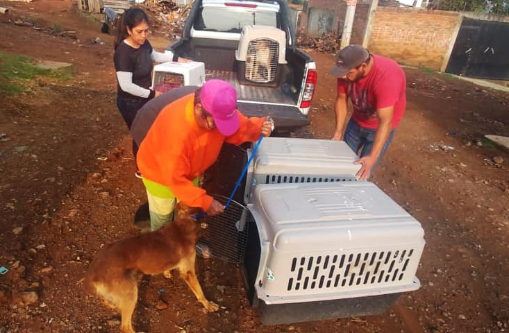 Operación Corazones Callejeros